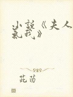 小说《夫人总想气我》