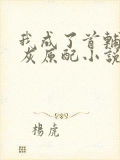 我成了首辅的炮灰原配小说