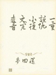 爽文小说一口气看完复仇重生