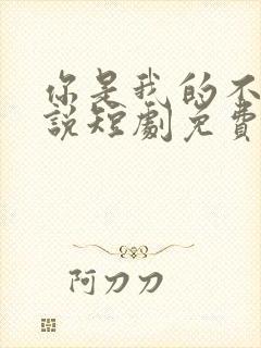 你是我的不可言说短剧免费观看全集