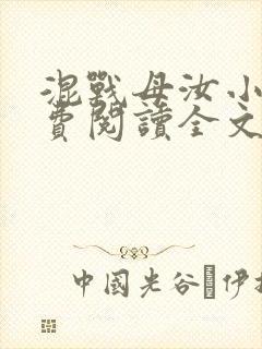 混战母汝小说免费阅读全文最新章节