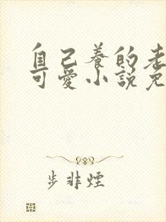 自己养的老婆最可爱小说免费阅读