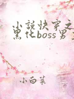 小说快穿之拯救黑化boss男主