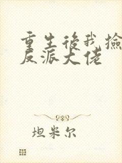 重生后我捡到了反派大佬