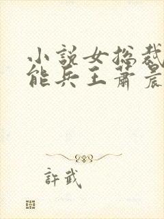 小说女总裁的全能兵王萧晨免费