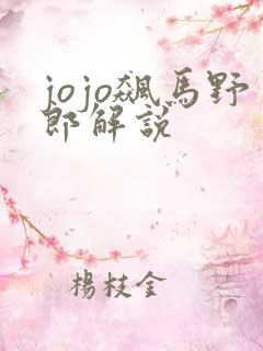 jojo飙马野郎解说
