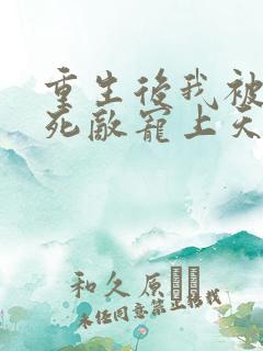 重生后我被渣男死敌宠上天