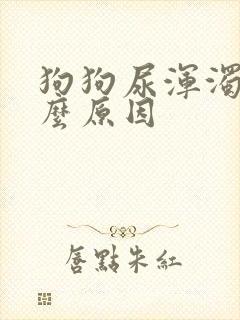 狗狗尿浑浊是什么原因