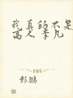 我真的不是盖世高人 李凡