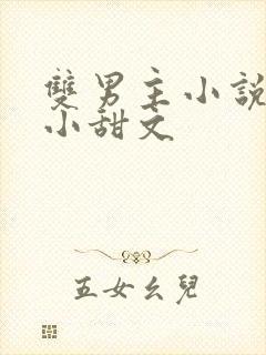 双男主小说推荐小甜文