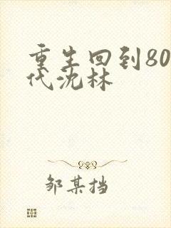 重生回到80年代沈林