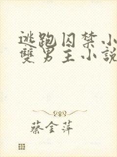 逃跑囚禁小少爷双男主小说推荐完结文