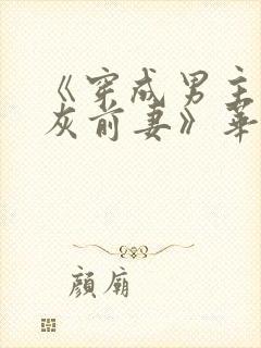 《穿成男主的炮灰前妻》华阙阙