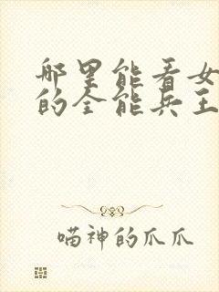 哪里能看女总裁的全能兵王