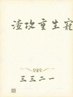 渣攻重生宠夫记