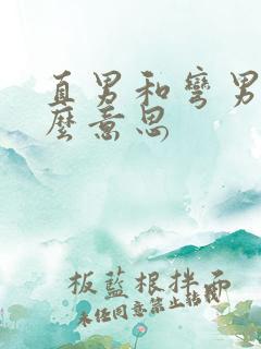 直男和弯男是什么意思