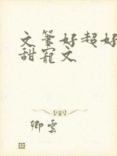 文笔好超好看的甜宠文