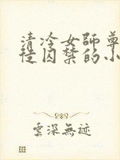 清冷女师尊被逆徒囚禁的小说