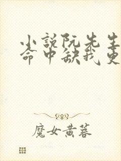 小说阮先生,你命中缺我更新