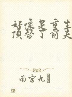 好像是重生后我顶替了前夫白月光