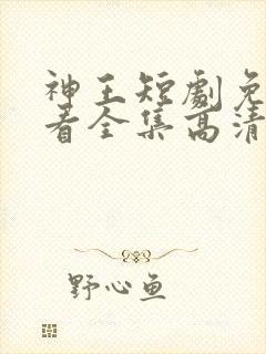神王短剧免费观看全集高清