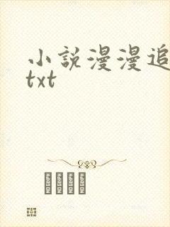 小说漫漫追妻路txt