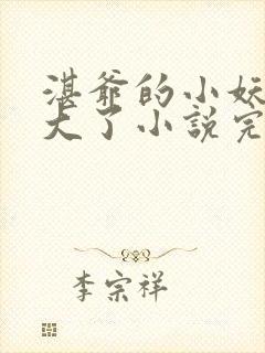 湛爷的小妖精长大了小说完整版本