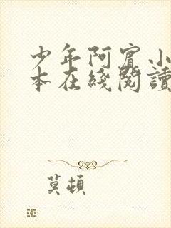 少年阿宾小说全本在线阅读免费