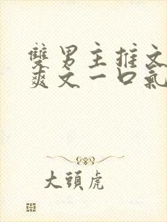 双男主推文完结爽文一口气看完