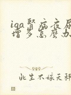 iga肾病夜尿增多怎么办