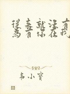 从来就没有过因为有你在我身后是什么歌