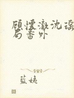 顾怀澈沈瑶大结局番外