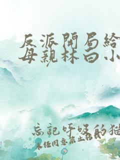 反派开局给主角母亲林白小说