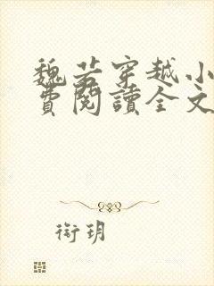 魏若穿越小说免费阅读全文无弹窗