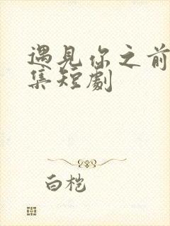 遇见你之前60集短剧