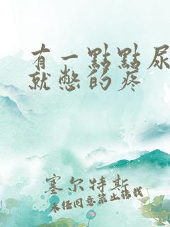 有一点点尿膀胱就憋的疼