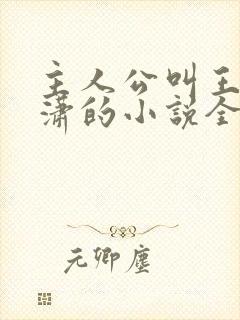 主人公叫王东唐潇的小说全文免费阅读笔趣阁