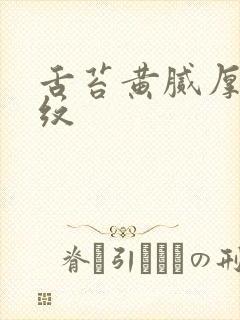 舌苔黄腻厚有裂纹