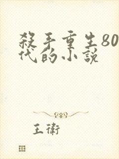 杀手重生80年代的小说