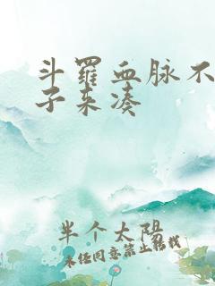 斗罗血脉不够脑子来凑