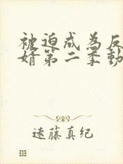 被迫成为反派赘婿第二季动漫全集免费观看