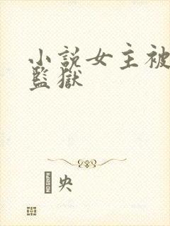 小说女主被送进监狱