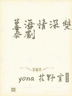 暮海情深双男主泰剧