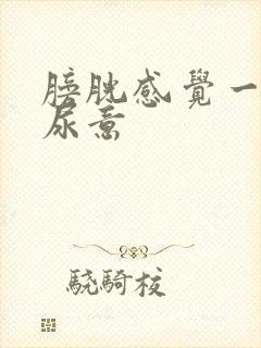 膀胱感觉一直有尿意