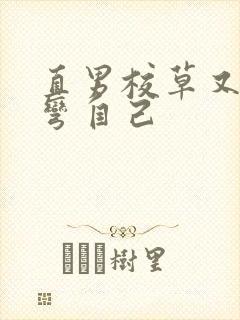 直男校草又在掰弯自己