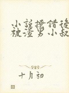 小说撩错后,我被渣男小叔狂宠入骨