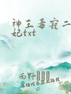 神王毒宠二嫁王妃txt
