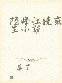 陆峰江晓燕的重生小说