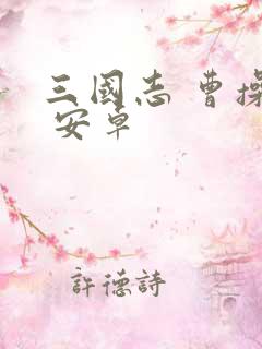 三国志 曹操传 安卓