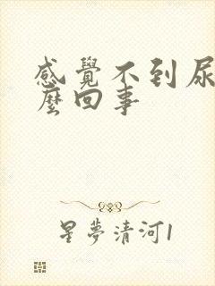 感觉不到尿胀怎么回事